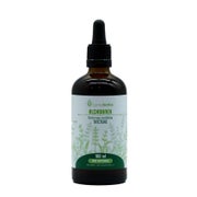 Alchornea (Alchornea cordifolia)Tinktur 1:2 (100ml) 100 ml
