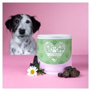 Tierliebhaber Darmpflege Drops für Hunde 350 g