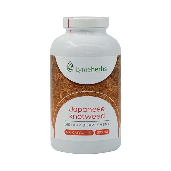 Japanischer Staudenknöterich, 500 mg, 500 Kapseln 500 St