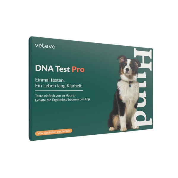 DNA Test Rassebestimmung Pro Hund 1 St