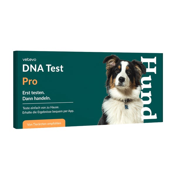 DNA Test Rassebestimmung Pro Hund 1 St