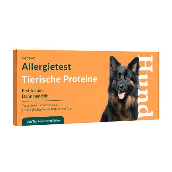 Allergietest - Tierische Proteine Hund 1 St