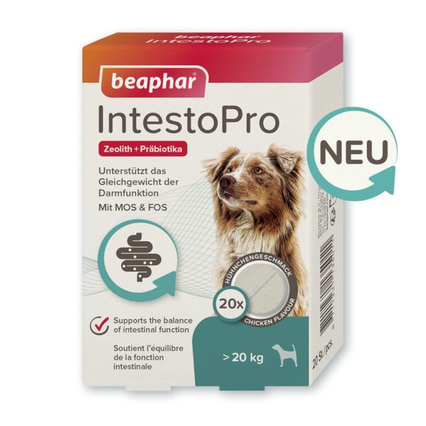 Beaphar IntestoPro Tabs für große Hunde - Unterstützt das Gleichgewicht der Darmfunktion - 20 Stück 20 St