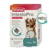 Beaphar IntestoPro Tabs für große Hunde - Unterstützt das Gleichgewicht der Darmfunktion - 20 Stück 20 St