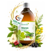 Biostile Niere Sirup 500 ml