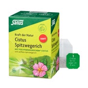 Cistus Spitzwegerich Tee Bio Filterbeutel 15 St