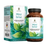 Lutschpastillen mit Milchsäurebakterien, Minze & Xylit für die Mundflora - MINZBRISE - 90 vegane Presslinge - NATURTREU® 45.0 g