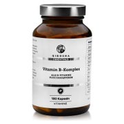 Vitamin B Komplex bioaktiv mit Kofaktoren im Glas 124 g