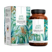 Hyaluronsäure Komplex mit Aloe Vera, Hirse Hagebutte & Biotin - JUNGQUELL - 90 vegane Kapseln - NATURTREU® 90 St