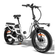 Fafrees F20 X-MAX Falt-E-Bike, 48 V 30 Ah Akku 1 St