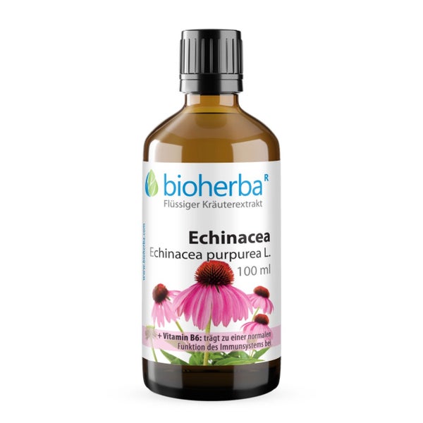 Echinacea Extrakt Tropfen 100 ml