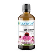 Echinacea Extrakt Tropfen 100 ml
