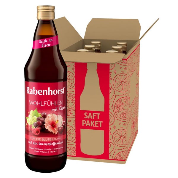 Rabenhorst Wohlfühlen mit Eisen 6 x 700ml 4200 ml