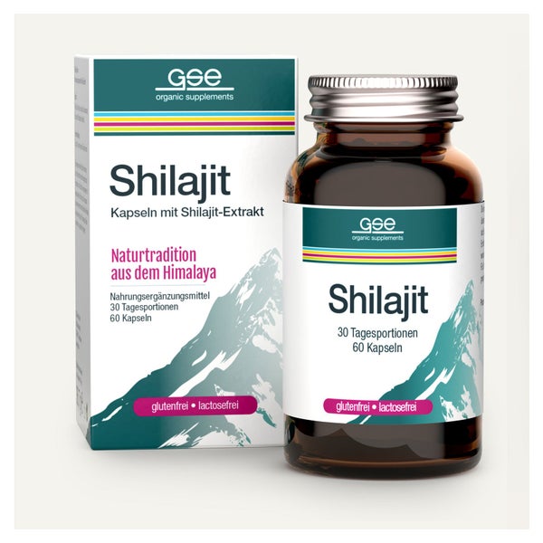 GSE Shilajit 60 St