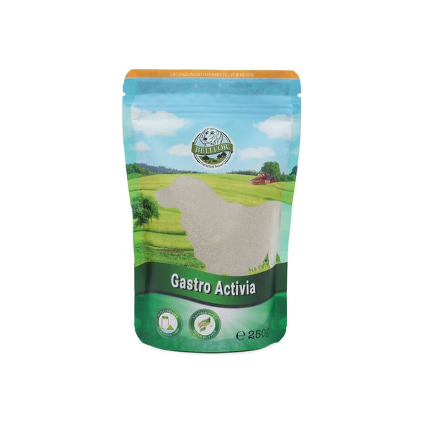 Bellfor Gastro Activia Pulver