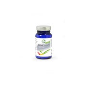SanaSilicium mit Zink 60 Kapseln – Hochwertige Silicium-Quelle