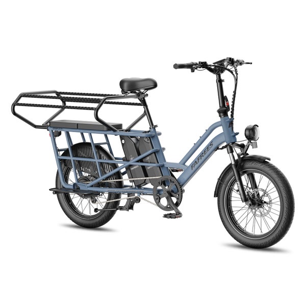Fafrees FF20 CUV Elektro-Lastenrad, 2 x 12 Ah Akku 1 St