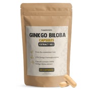 Cupplement - Ginkgo Biloba  100 mg - Kapseln 60 St