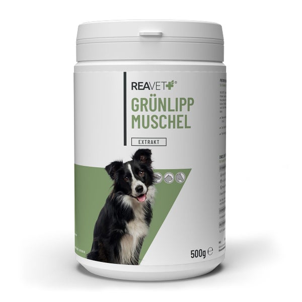 Grünlippmuschel Konzentrat 500 g