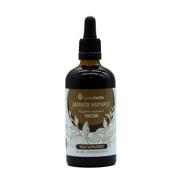 Japanischer Staudenknöterich Tinktur 1:5 (100ml) 100 ml