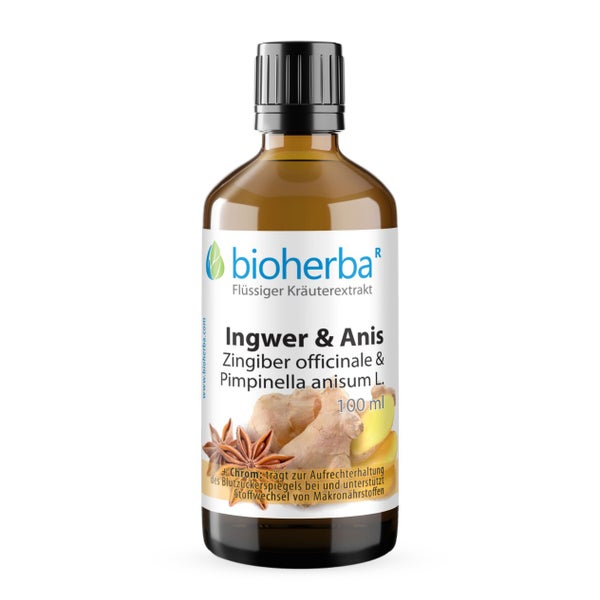 Bioherba Ingwer & Anis Tropfen Tinktur 100 ml