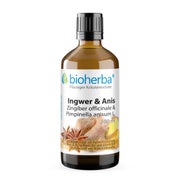 Ingwer Und Anis Extrakt Tropfen 100 ml