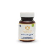 Produktabbildung: Triphala Guggulu Natural 60 St