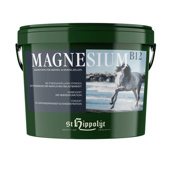 St. Hippolyt Magnesium B12 2,5 kg