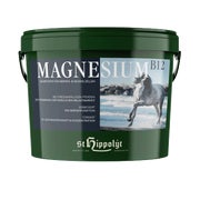 St. Hippolyt Magnesium B12 2,5 kg