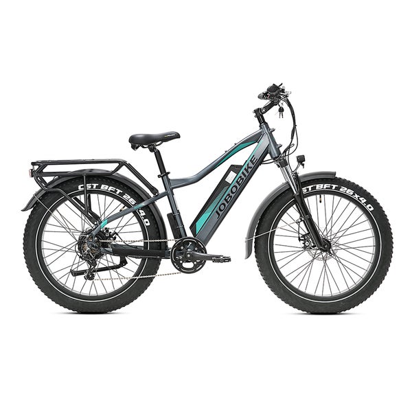 JOBOBIKE Robin Elektrofahrrad für Erwachsene 48V 13Ah,grau 1 St