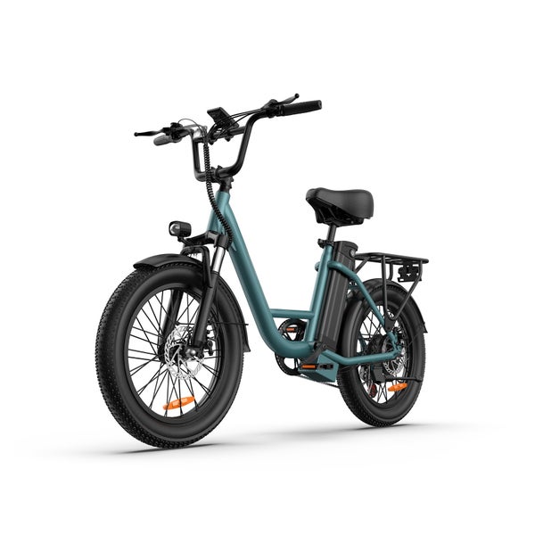 URLIFE E20 20 x 3,0" Fatbike-Elektrofahrrad, 48V 13Ah Akku 1 St