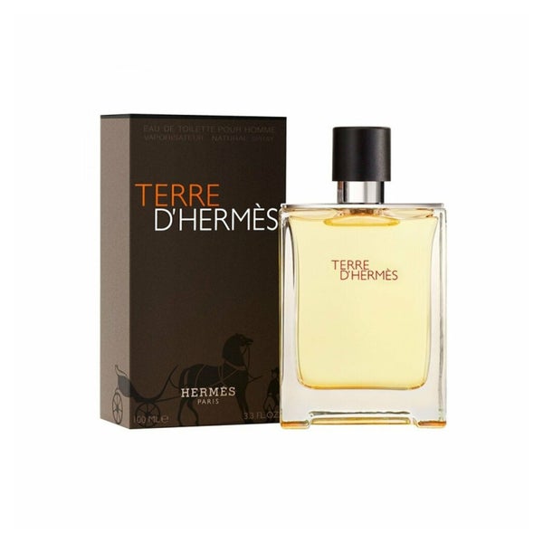 Hermes Terre D´Hermes Eau de Toilette 100ml 0,1 l