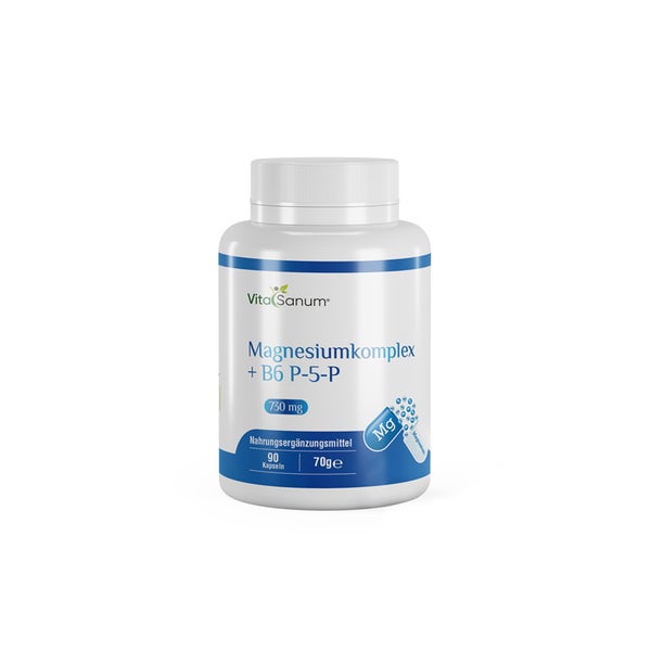 VitaSanum®- Magnesiumkomplex + B6 P-5-P 730 mg 90 Kapseln  St