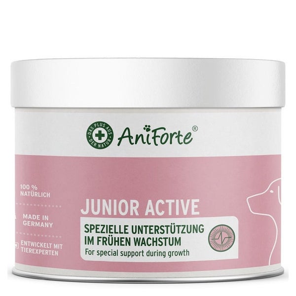 Junior Active Pulver 250 g