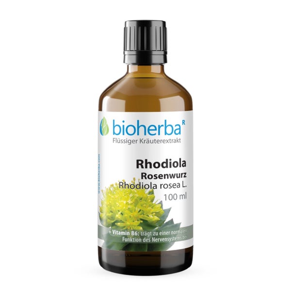 Rhodiola Rosenwurz Extrakt Tropfen 100 ml
