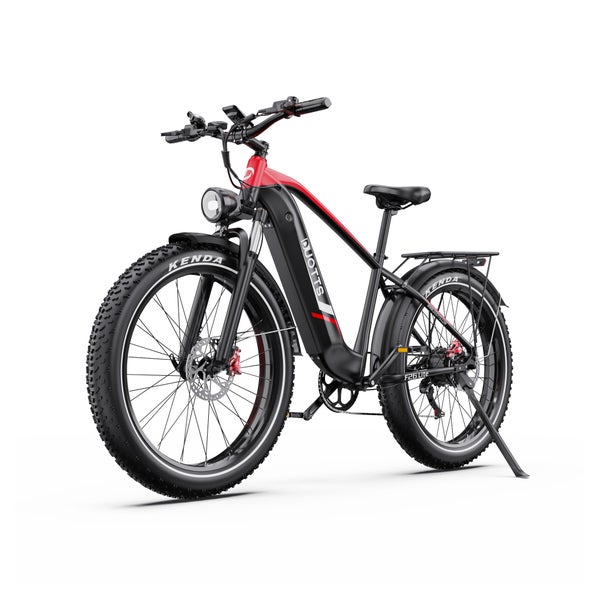 DUOTTS F26Lite E-Bike 500W 48V 18Ah 26x4,0 Zoll 1 St