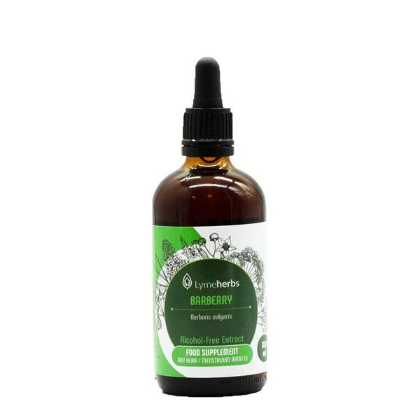 Berberitze alkoholfreier Extrakt 1:1 (100ml) 100 ml