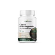 VitaSanum®- Cissus Quadrangularis (Veldtraube) 500 mg 100 Kapseln 100 St