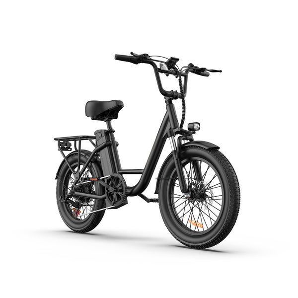 URLIFE E20 20 x 3,0" Fatbike-Elektrofahrrad, 48V 13Ah Akku 1 St
