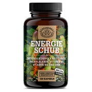 Scheunengut® ENERGIESCHUB mit 5-HTP aus Griffonia 120 St