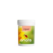 Ingwer 34,2 g