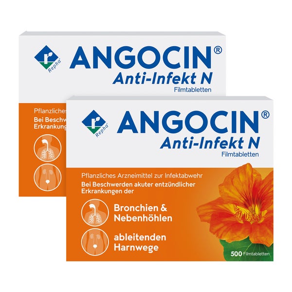 ANGOCIN Anti-Infekt N 2X500 St