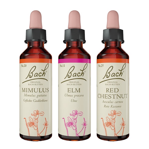 Bachblüten-Set "Du schaffst das" 60 ml