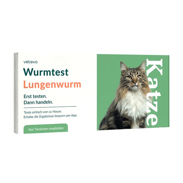 Lungenwurmtest Katze 1 St