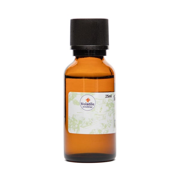 Volatile Rosmarin, Extra ätherisches Öl 25 ml