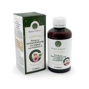 Herbal Therapy Sirup zur Immunstärkung mit Ingwer und Vitamin C