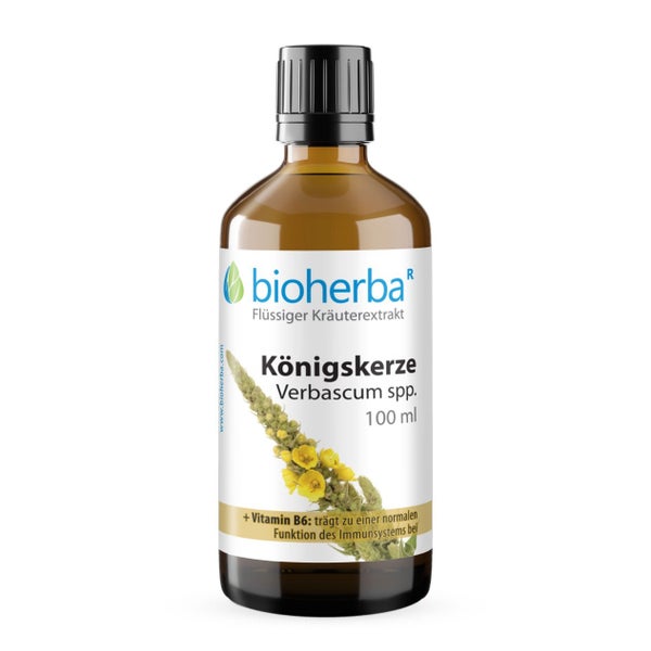 KÖnigskerze Extrakt Tropfen 100 ml
