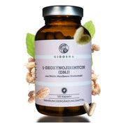 QIDOSHA 1-Deoxynojirimycin (DNJ) aus Weiße Maulbeere Extrakt 120 St