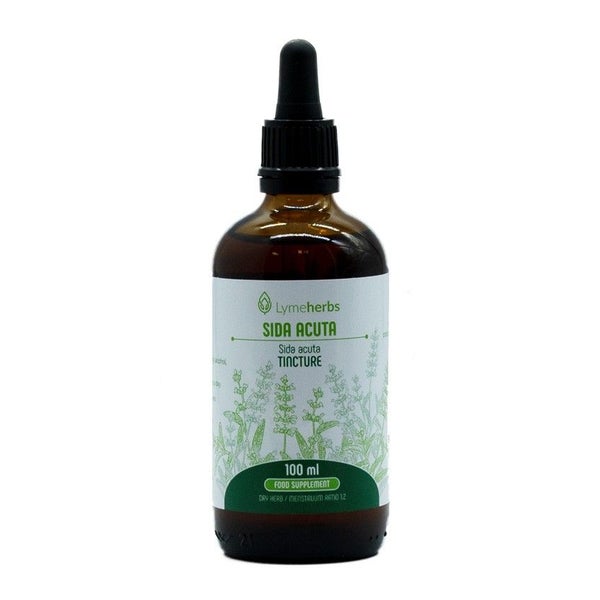 Sida Acuta, Tinktur 1:2 (100ml) 100 ml