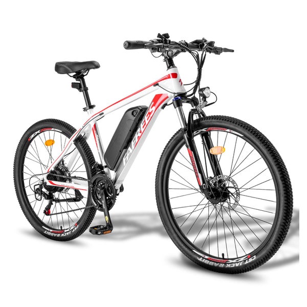 Fafrees 26 Hailong One 250W Pedelec mit 36V 13,5Ah Akku 1 St
